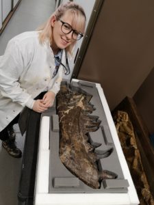 Emily, a woman with pink hair, leaning over the jaw of Tyrannosaurus rex